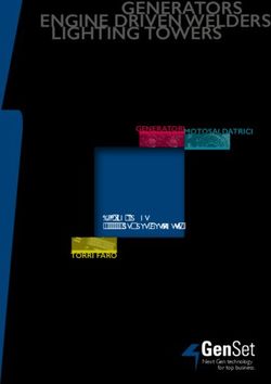 GENERATORS ENGINE DRIVEN WELDERS LIGHTING TOWERS - GENERATORI MOTOSALDATRICI - Gen Set