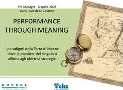 PERFORMANCE THROUGH MEANING - I paradigmi della Terra di Mezzo: dove la passione del singolo si allinea agli obiettivi strategici