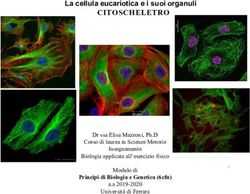 CITOSCHELETRO La Cellula Eucariotica E I Suoi Organuli Dr Ssa Elisa