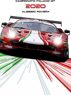 2020 CAMPIONATO ITALIANO GT ALESSIO ROVERA