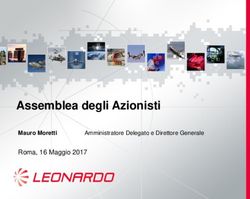 Assemblea degli Azionisti - Roma, 16 Maggio 2017 Mauro Moretti - Leonardo Company