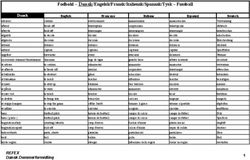 Fodbold - Dansk/Engelsk/Fransk/Italiensk/Spannsk/Tysk - Fussball