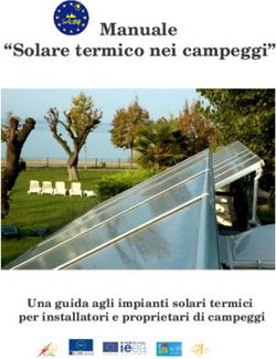 Manuale Solare Termico Nei Campeggi Una Guida Agli Impianti Solari