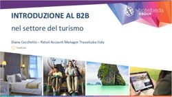 INTRODUZIONE AL B2B nel settore del turismo - Diana Cecchetto - Retail Account Manager Travelcube Italy