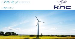 Presentazione 2018 Massimo Puliani - Kangaroo Net Company - KNC KNC KNC