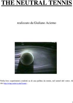 THE NEUTRAL TENNIS realizzato da Giuliano Acierno - Nella foto: esperimenti condotti su di una pallina da tennis, nel tunnel del vento. Al