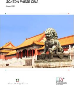 SCHEDA PAESE CINA Maggio 2019 - Agenzia ICE