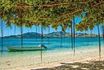AUSTAUSTRALIA NUOVA ZELANDA - VINCITORE - Quality Group