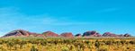 AUSTAUSTRALIA NUOVA ZELANDA - VINCITORE - Quality Group