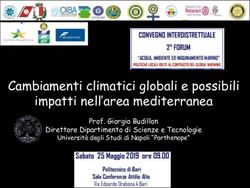 Cambiamenti climatici globali e possibili impatti nell'area mediterranea - Prof. Giorgio Budillon Direttore Dipartimento di Scienze e Tecnologie