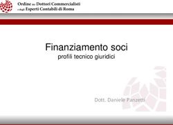 Finanziamento soci Dott. Daniele Panzetti - ODCEC Roma