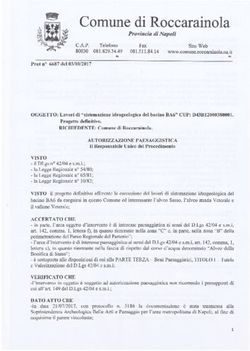 Comune di Roccarainola - Provincia di Napoli - VAS