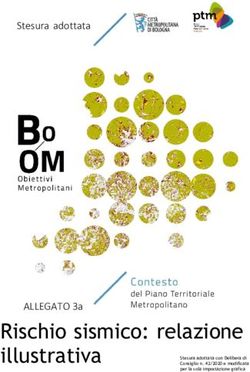 Sismico: relazione illustrativa - Rischio ALLEGATO 3 a - Piano ...
