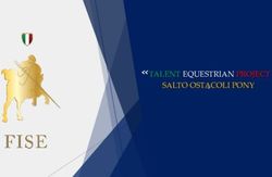 TALENT EQUESTRIAN PROJECT SALTO OSTACOLI PONY - Fise