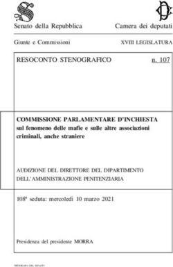 RESOCONTO STENOGRAFICO - Parlamento ...