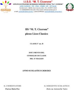 IIS "M. T. Cicerone" plesso Liceo Classico - ANNO SCOLASTICO 2020/2021 DOCUMENTO DEL
