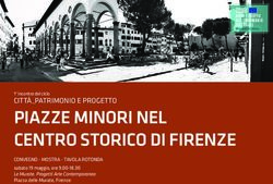 PIAZZE MINORI NEL CENTRO STORICO DI FIRENZE - CITT&Agrave;_PATRIMONIO E PROGETTO 1 incontro del ciclo - Anno ...
