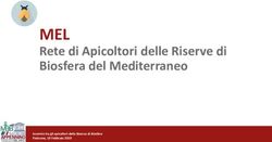 MEL Rete di Apicoltori delle Riserve di Biosfera del Mediterraneo - Incontro tra gli apicoltori della Riserva di Biosfera Fivizzano, 19 Febbraio ...