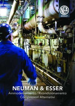 NEUMAN & ESSER Ammodernamento / Ricondizionamento Compressori Alternativi - NEUMAN & ESSER