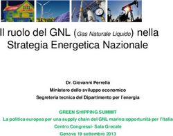 Strategia Energetica Nazionale - Il ruolo del GNL (Gas Naturale Liquido) nella