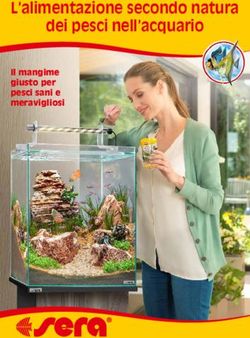 L'alimentazione secondo natura dei pesci nell'acquario - Il mangime giusto per pesci sani e meravigliosi - sera.de