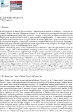 La solidariet&agrave; tra stranieri - Ediesse