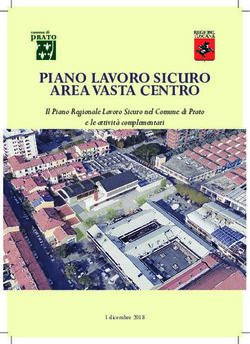 PIANO LAVORO SICURO AREA VASTA CENTRO - Il Piano Regionale Lavoro Sicuro nel Comune di Prato e le attivit&agrave; complementari - Autorit&agrave; ...
