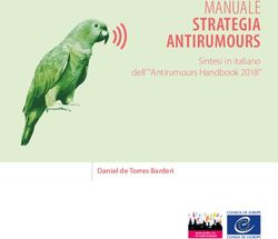 MANUALE STRATEGIA ANTIRUMOURS - Sintesi in italiano dell' "Antirumours Handbook 2018"