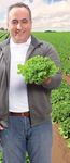 Smart Pro-tection by - BASF la giusta ri- lui chiede protezione delle colture, qualità del raccolto ottimizzazione dei residui