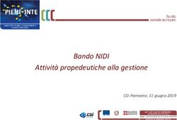 Bando NIDI Attività propedeutiche alla gestione - CSI-Piemonte, 11 giugno 2019 - Regione Piemonte