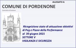 COMUNE DI PORDENONE - SETTOREV VIGILANZA E SICUREZZA Ricognizione stato di attuazione obiettivi di Peg e Piano della Performance al 30 giugno 2021
