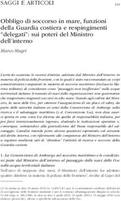 Obbligo di soccorso in mare, funzioni della Guardia costiera e respingimenti "delegati": sui poteri del Ministro dell'interno