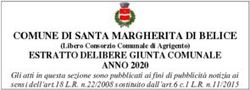 COMUNE DI SANTA MARGHERITA DI BELICE