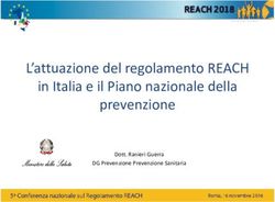 L'attuazione del regolamento REACH in Italia e il Piano nazionale della prevenzione - Dott. Ranieri Guerra DG Prevenzione Prevenzione Sanitaria