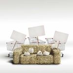 Con Mille modi di dire Tv - Coop consumatori