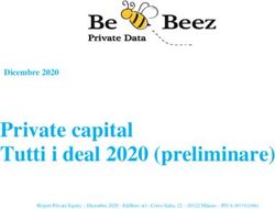 PRIVATE CAPITAL TUTTI I DEAL 2020 (PRELIMINARE) - DICEMBRE 2020 - BEBEEZ