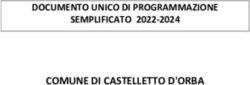 COMUNE DI CASTELLETTO D'ORBA - DOCUMENTO UNICO DI PROGRAMMAZIONE SEMPLIFICATO 2022-2024