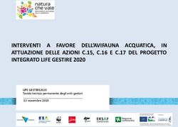 INTERVENTI A FAVORE DELL'AVIFAUNA ACQUATICA, IN ATTUAZIONE DELLE AZIONI C.15, C.16 E C.17 DEL PROGETTO INTEGRATO LIFE GESTIRE 2020 - Natura che vale
