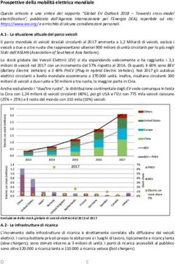 Prospettive della mobilità elettrica mondiale - Tazio Borges ...