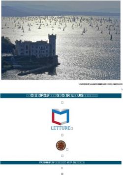 Culture politiche ed elezioni europee 2019 - Tonioloricerche 121 - Dicembre 2018 - Argomenti2000