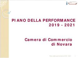 PIANO DELLA PERFORMANCE 2019 - 2021 Camera di Commercio di Novara Piano della performance 2019 -2021 - 2021 Camera di ...