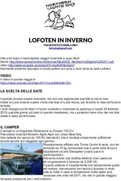 LOFOTEN IN INVERNO - CAMPERONLINE