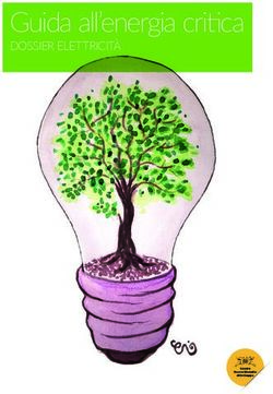Guida all'energia critica - DOSSIER ELETTRICITÀ - Centro Nuovo Modello di Sviluppo