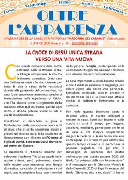 OLTRE L'APPARENZA - Luino Notizie