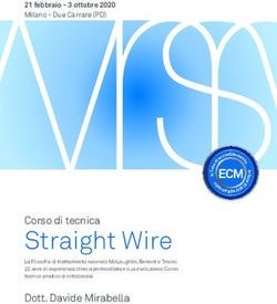 Straight Wire - Studioscarpa