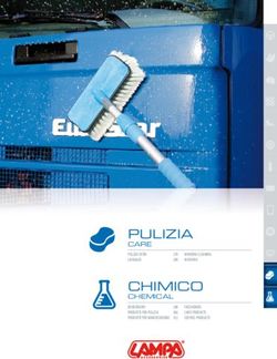 PULIZIA CARE PULIZIA VETRI LAVAGGIO - CHIMICO - Tramuto Auto