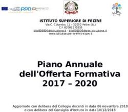 Piano Annuale 2017 2020 - dell'Offerta Formativa - ITT Negrelli Forcellini - IPIA Rizzarda ...