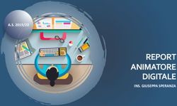 REPORT ANIMATORE DIGITALE - A.S. 2019/20 - Boer-Verona Trento