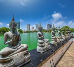 PROGRAMMA DI VOLONTARIATO IN SRI LANKA - Navigando