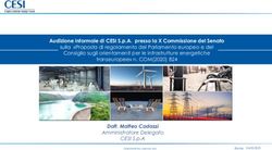 Audizione informale di CESI S.p.A. presso la X Commissione del Senato